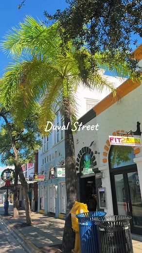 Explore Duval Street: A Day in Key West Florida