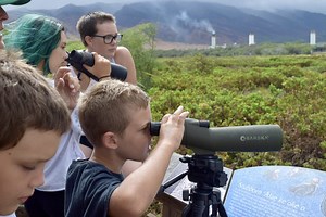 Learning Endeavors Offers Wetlands Camp for Maui Youth Grades 4-6 During Spring Break | Maui Now