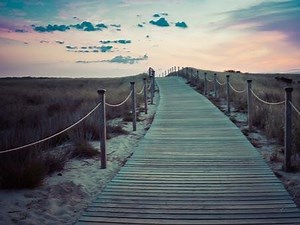 ALS Self Care ⎜Your ALS Guide