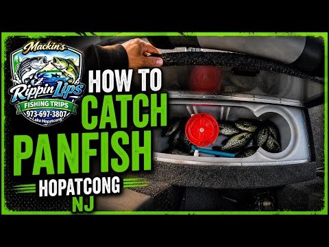 How to Catch Panfish in ANY Lake (Easy Method)