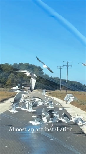 | 🏡Cottages Of Cape Cod 💎💎💎💎💎 - Vacation Rentals