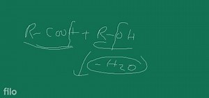 Esterification reaction : Carboxylic acid reacts with alcohol i... | Filo