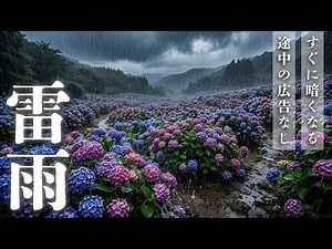 【睡眠用BGM・途中広告なし】激しい雷雨の音。雷の音・8時間の雷鳴自然音【落雷なし／すぐ暗くなる画面】