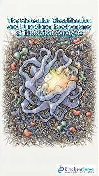 The Molecular Classification and Functional Mechanisms of Biological Catalysts