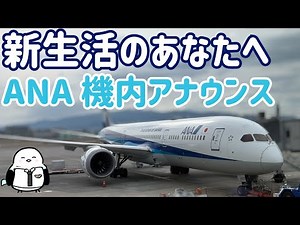 [New Life Support] ANA In-Flight Announcements: Cheers for You as You Start Your New Life