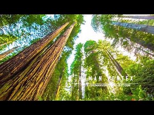 Human Vortex · Desapego · Pleiadian Connection