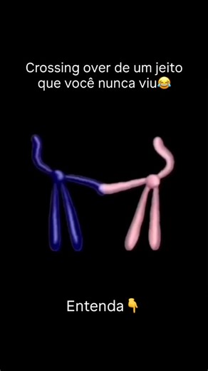 Prof. Fabio Bonifacio - Biologia Nerd on Instagram: "O crossing over é um processo fundamental que ocorre na meiose (tipo de divisão celular) em que cromossomos homólogos trocam segmentos de DNA entre si. Essa troca acontece durante a prófase I e permite a recombinação genética, criando novas combinações de genes que não existiam antes. Por que isso é importante? O crossing over aumenta a variabilidade genética, tornando cada indivíduo geneticamente único e contribuindo para a evolução das espéc
