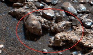 Alien fossils discovered on Mars is ‘proof’ of extraterrestrials