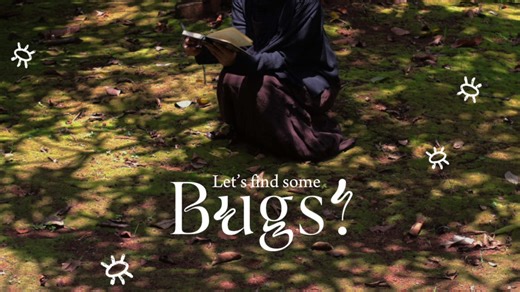 Whimsical Drawing Tutorial for Mythical Creatures