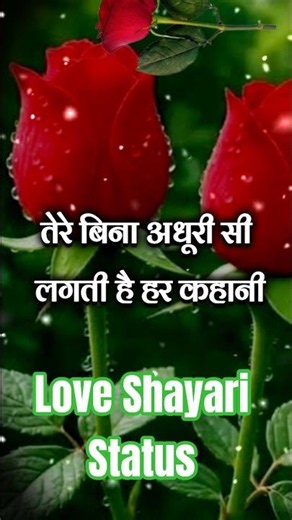 तेरे बिना अधूरी सी लगती है हर कहानी | love shayari video | love shayari status #lovesahayari