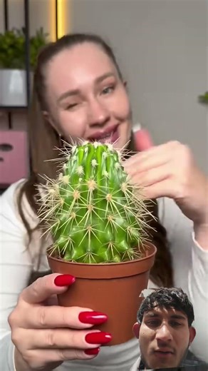 Keyboard Typing Green Screen Effect | Free Green Screen for Editing #shorts #videoediting #tiktok