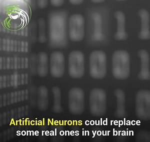 Artificial Neurons Can Function Just like Human Brain Cells – Lifeboat News: The Blog