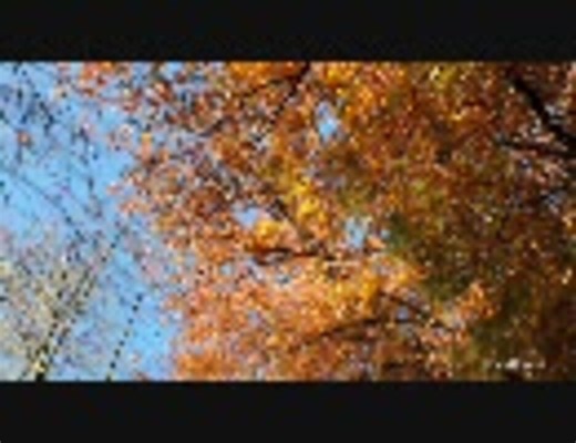 高画質テスト Canon EOS 5D Mark II 再圧縮なし part1