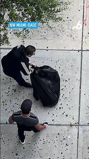 Dog dies after falling from the 32nd floor of #miami high-rise