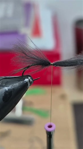 cdc emerging mayfly #shorts #flytying #flyfishing