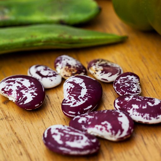 6 Gorgeous Heirloom Bean Varieties to Know