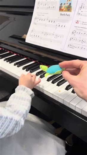 《Mr Turtle》 #piano #shorts