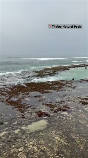 Have you seen natural rock pools before? If you haven’t you should visit Thalpe, Sri Lanka 🇱🇰.