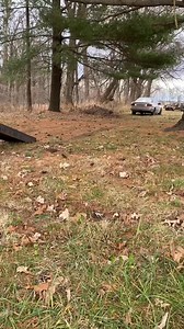 2.2K reactions · 73 shares | Ford freakin Taurus | Clutch Marles | Facebook