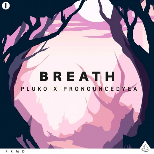 【电音推荐】Breath(呼吸) - Pluko&Pronouncedyea