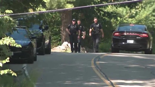 Person with pellet gun prompts Bedford schools to go into secure campus mode