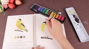 Clhjinruoliu Water Color Workbook,Animals Flowers Ocean Water Coloring Book, Nature Scenes Paint Set Art Crafts, Beginner-Friendly Watercolor Workbook, with 12 Colors Paints Set with Paint Brush,Ocean