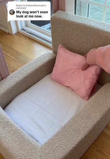 Puppy Apartment Setup for Miniature Poodles