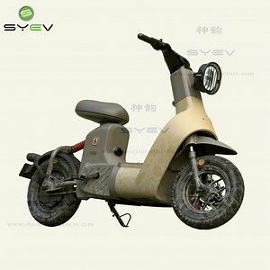 [Hot Item] 400W 10inch Electric Scooter with Long Range Disc/Drum Brake System