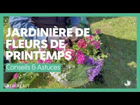 Planter une jardinière de fleurs de printemps - Truffaut
