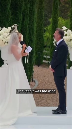 The bride whose wedding went viral has opened up about the moment that captivated millions worldwide. Read the full story at the link in bio.