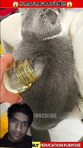 #effectking #shere #shortsfeed