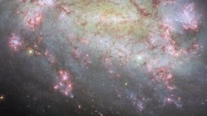Our latest ESA/Hubble Picture of the Week is made up of ten images from the NASA/ESA Hubble Space Telescope! Each was filtered to collect light from a specific wavelength or wavelength range, spanning Hubble’s sensitivity to light: from ultraviolet to near-infrared. Read more here: https://ow.ly/foRm50TpULJ 📷 ESA - European Space Agency / Hubble Space Telescope & NASA - National Aeronautics and Space Administration , F. Belfiore, W. Yuan, J. Lee and the PHANGS-HST Team, A. Riess, K. Takáts, D. 