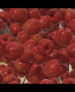 You can grab the Livingood Daily Apple Cider Vinegar for up to 44% off today... The Livingood Daily Apple Cider Vinegar, Potassium & Probiotic Fat Burning Blend is a custom formula that will address the 4 unseen causes of weight gain. We know that Apple Cider Vinegar is needed to balance the insulin and enhance the metabolism, but adding in the other nutrients will support the whole body's metabolic functions. Using 100% natural ingredients and made in the US, the perfect formula is available in