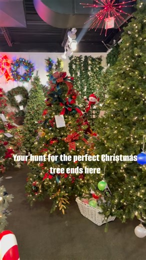 Finding the right Christmas tree shouldn’t be stressful—and at St. Nicks, it isn’t. Explore dozens of styles, all backed with warranties and supported by our in-house repair team. Whether you’re upgrading or starting fresh, we’ll help you bring home the tree that feels just right. #stnickschristmas #trees | St. Nicks Christmas and Collectibles