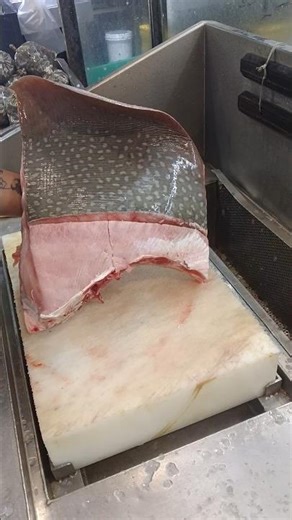 professional fresh seafood stingray fish cutting slice master 💪💯💯👌👌#short video