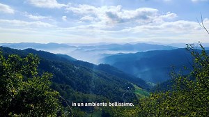 La nostra Cooperativa, il nostro passato, presente e futuro... "Ogni giorno più di 500 persone curano tutta la filiera agroalimentare, dai campi alla tavola" Il nostro Direttore Generale Pietro D'Angeli vi accompagna alla scoperta di chi è CLAI. Buona visione! | CLAI Salumi