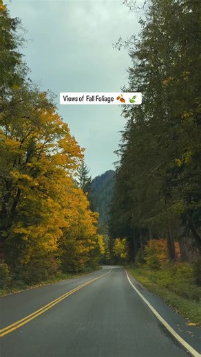 14 reactions · 4 comments | Big Four Ice Caves located off the...