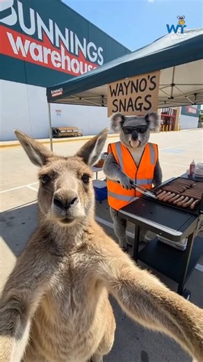 Willba's Tech on Instagram: "Don't worry Wayno's got it all under control... I think 🐨🔥"