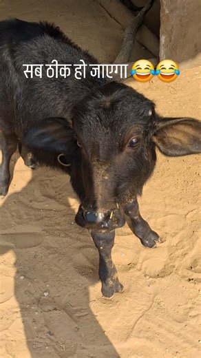 Garvit on Instagram: "Trending reel.. lol 😆 #instagood #reels #instagram #trending #reelsinstagram #trendingsongs #art #trendingreels #artist #travel #vlogger #virlpost😉❤️❤️ #vlog"