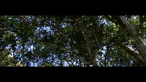 BBC Madagascar EP01 - Island of Marvels