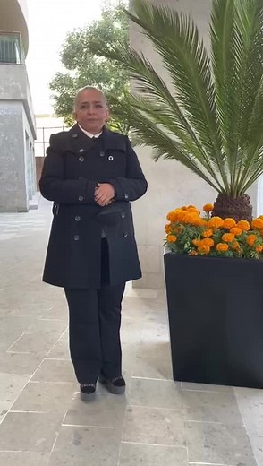 Ana Martin: Mexican Actress in Television and Cinema