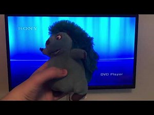 DVD Opening of Cheaper By The Dozen