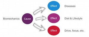 The "Cause & Effect" Framework