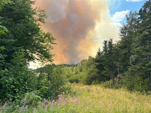 N.L. eyeing ATV ban, increasing fines as 3 wildfires continue to burn - The Weather Network