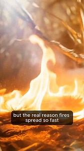 Why do bushfires happen so often in Australia — and why do they spread so fast? This video explains the real environmental reasons behind Australian bushfires, from extreme heat and dry conditions to flammable native plants and strong winds. It’s not bad luck — it’s how the landscape is built. ⚠️ Disclaimer: This video is a simplified visual representation created for educational purposes. It is not an exact or technical depiction of real bushfire behavior, firefighting, or emergency response. O