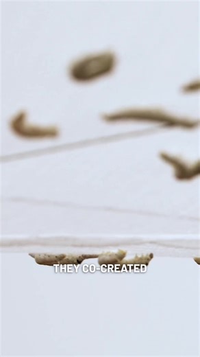 Fiber Structure Co-Created with Silkworms | Robotic Loom Design | Eco Futurism