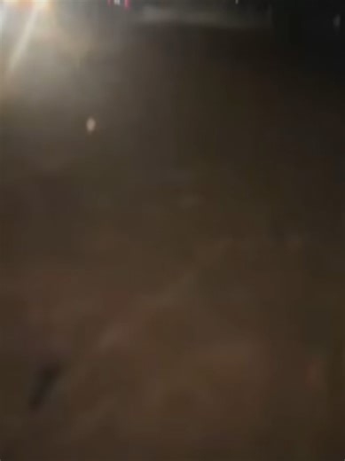 knx🔛🔝#professionals #makemefamous #kununurra #fyp #knx