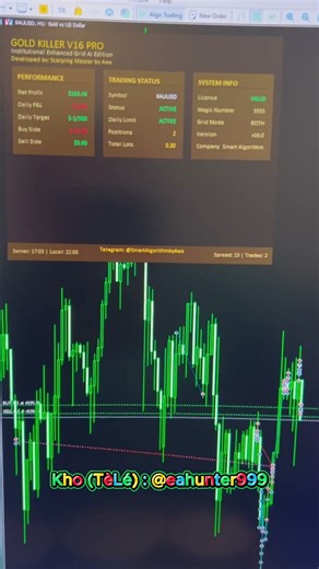 Gold killer v16 Pro EA MT5 | Chuyên chơi GOLD - Miễn phí. #shorts #giaodichforex #trading #forex