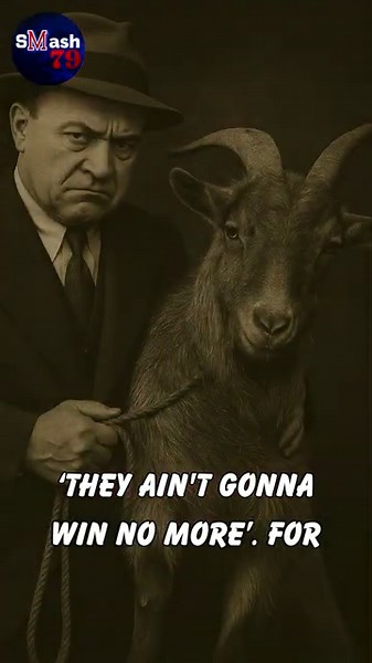 The Billy Goat Curse: 71 Years of Cubs' Misfortune ⚾️