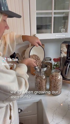 Growing pinto beans is so easy!! And the best part is once you’ve grown your fordt crop, you never need to buy seeds again! You can just save some of your dry beans and plant them the next year! #homestead #foodstagram #foodstorage #growingfoodathome #homemadefood #homegrown #hobbyfarmlife #preppertok #homemakertiktok #homemakerlifestyle #organicmom